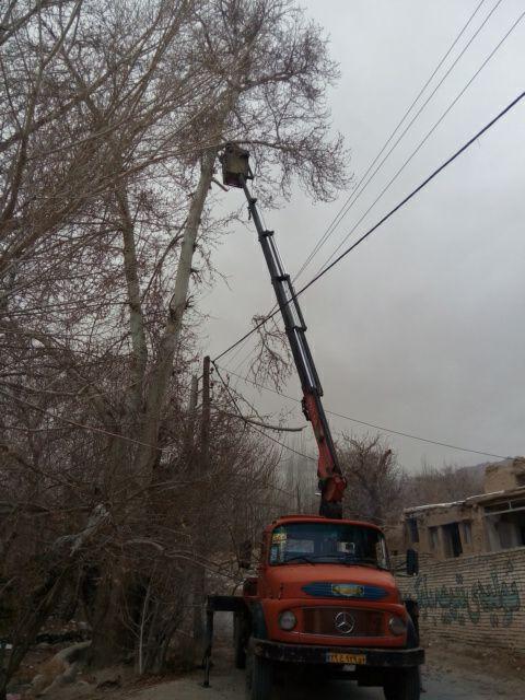 شاخه زنی درختان در حریم خطوط  فشار متوسط شبکه برق