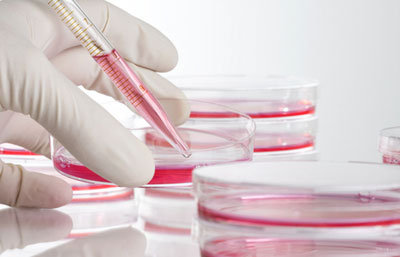 عضویت 300 نفر در بانک سلول‌های بنیادی مشهد