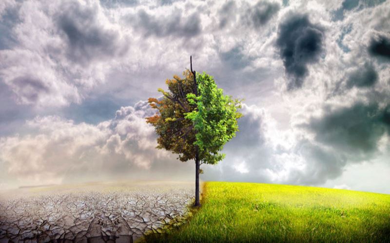 توصیه‌های هواشناسی کشاورزی استان کرمانشاه