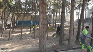 نجات درختان پارک جنگلی پیشوا از خشک شدن