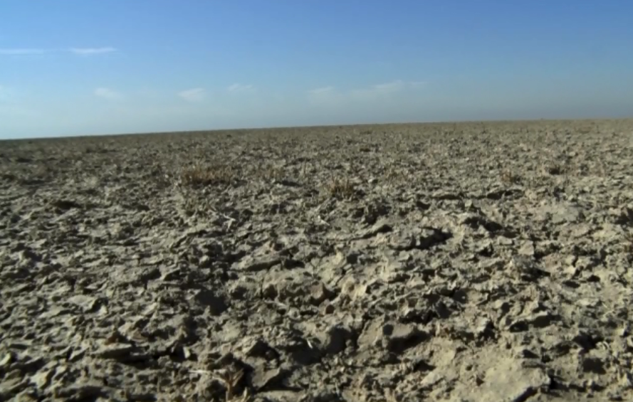 گزارش مکتوب...گردِ خاک بر چهره خوزستان