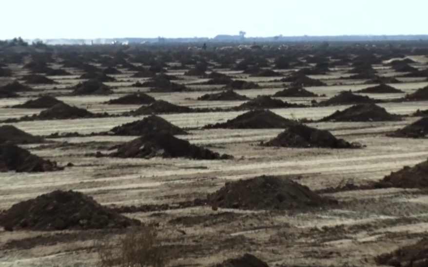 گزارش مکتوب...گردِ خاک بر چهره خوزستان