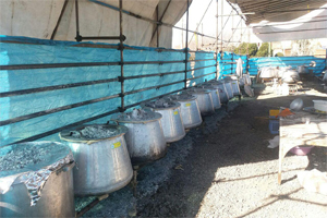 طبخ 10 تن غذای نذری طبخ 10 تن غذای نذری