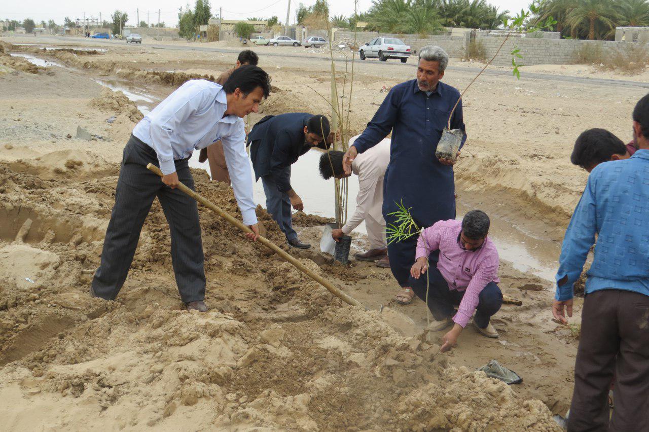 آغازاجرای طرح کمربند سبز در ریگان