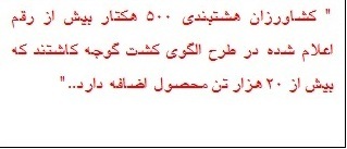 له شدن گوجه کاران مینابی + فیلم