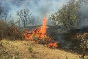 کاهش 90درصدی حریق در مراتع استان اصفهان