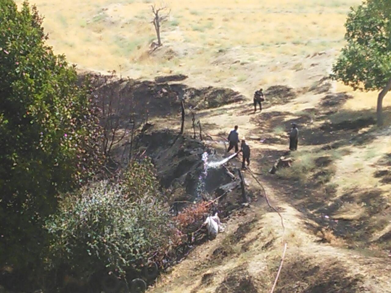 آتش سوزی در باغات مثمر آتش سوزی در باغات مثمر