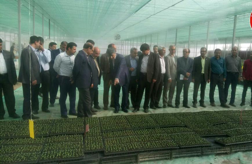 ادامه افتتاح طرحهای هفته دولت در جیرفت