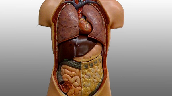 بهترین نوشیدنی برای روزهای سرد