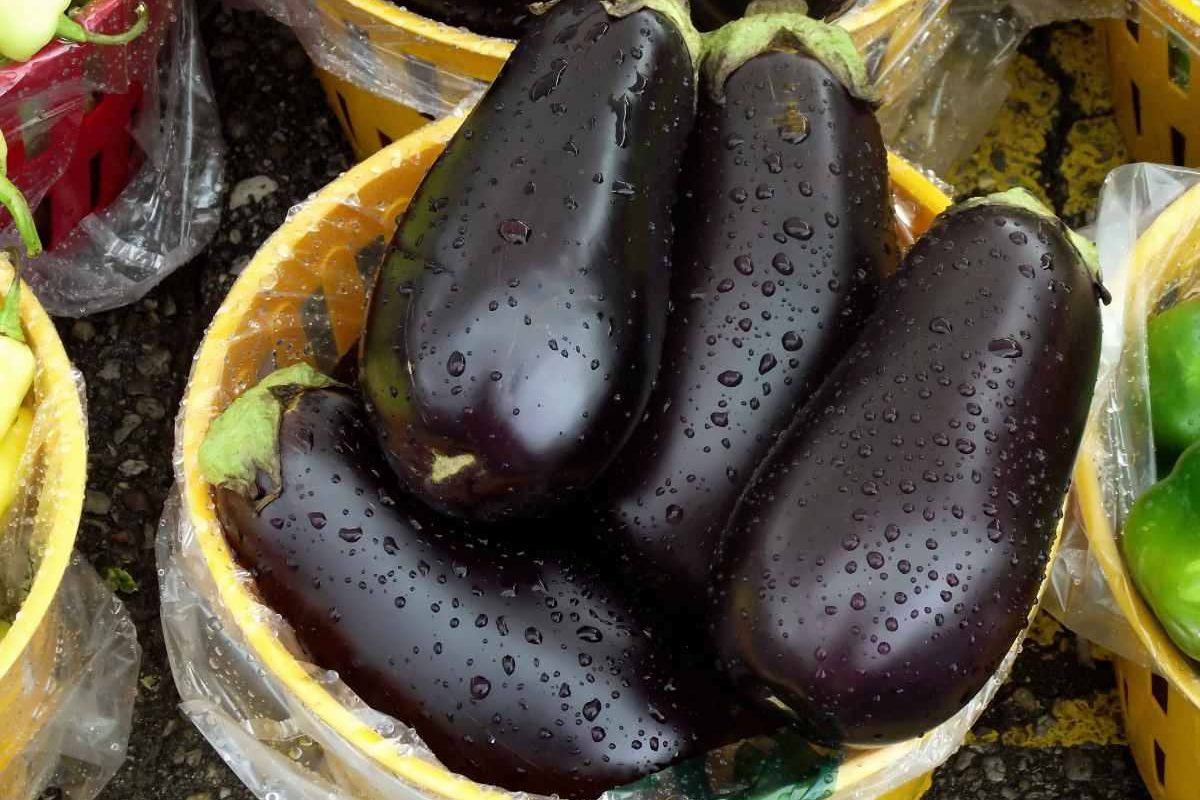 غذای بومیِ دلچسب  اصفهانی ها در روزهای سرد غذای بومیِ دلچسب  اصفهانی ها در روزهای سرد