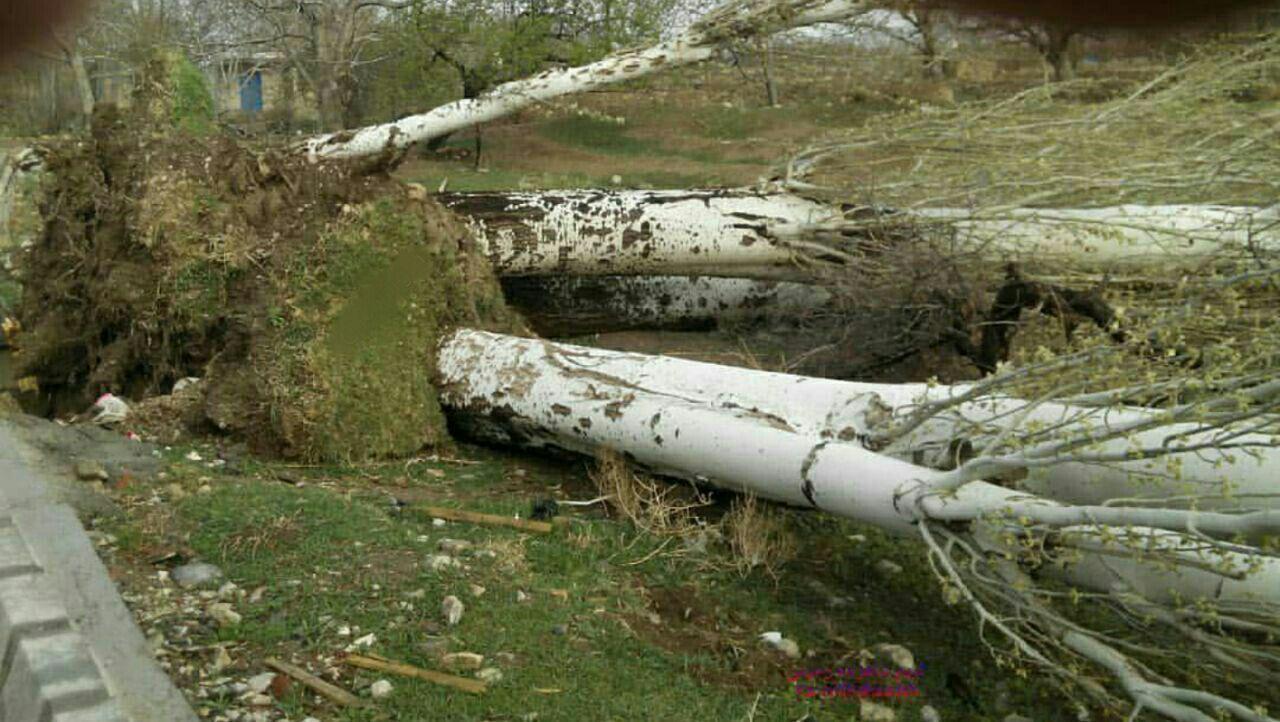 پیش بینی وقوع دوباره تندباد در آذربایجان شرقی