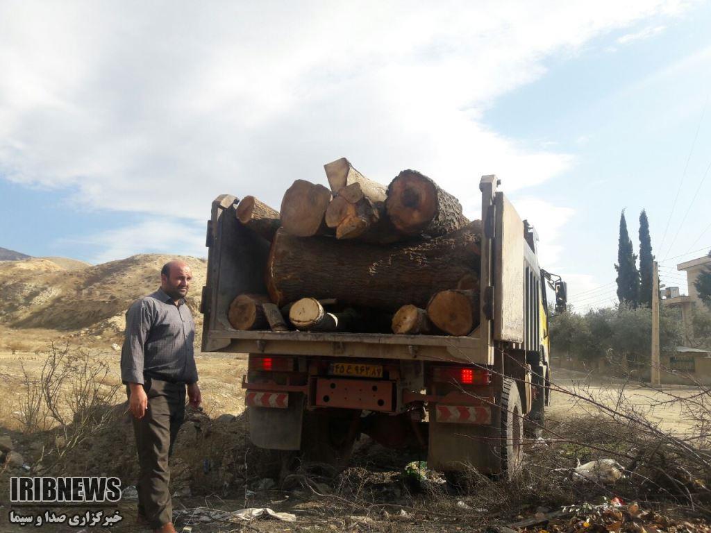 کشف 39 تن چوب قاچاق درطارم