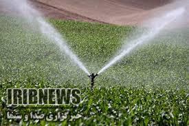 توزیع ۱۴۴ تن گوشت در مهاباد توزیع ۱۴۴ تن گوشت در مهاباد