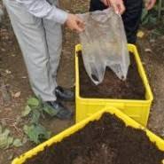 بهره برداری از پسماند صنایع تبدیلی؛ هم افزایی سرمایه ی ملی