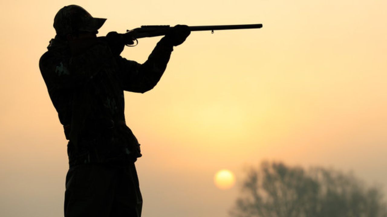 شهادت محیط بان در پارک ملی جنگل گلستان