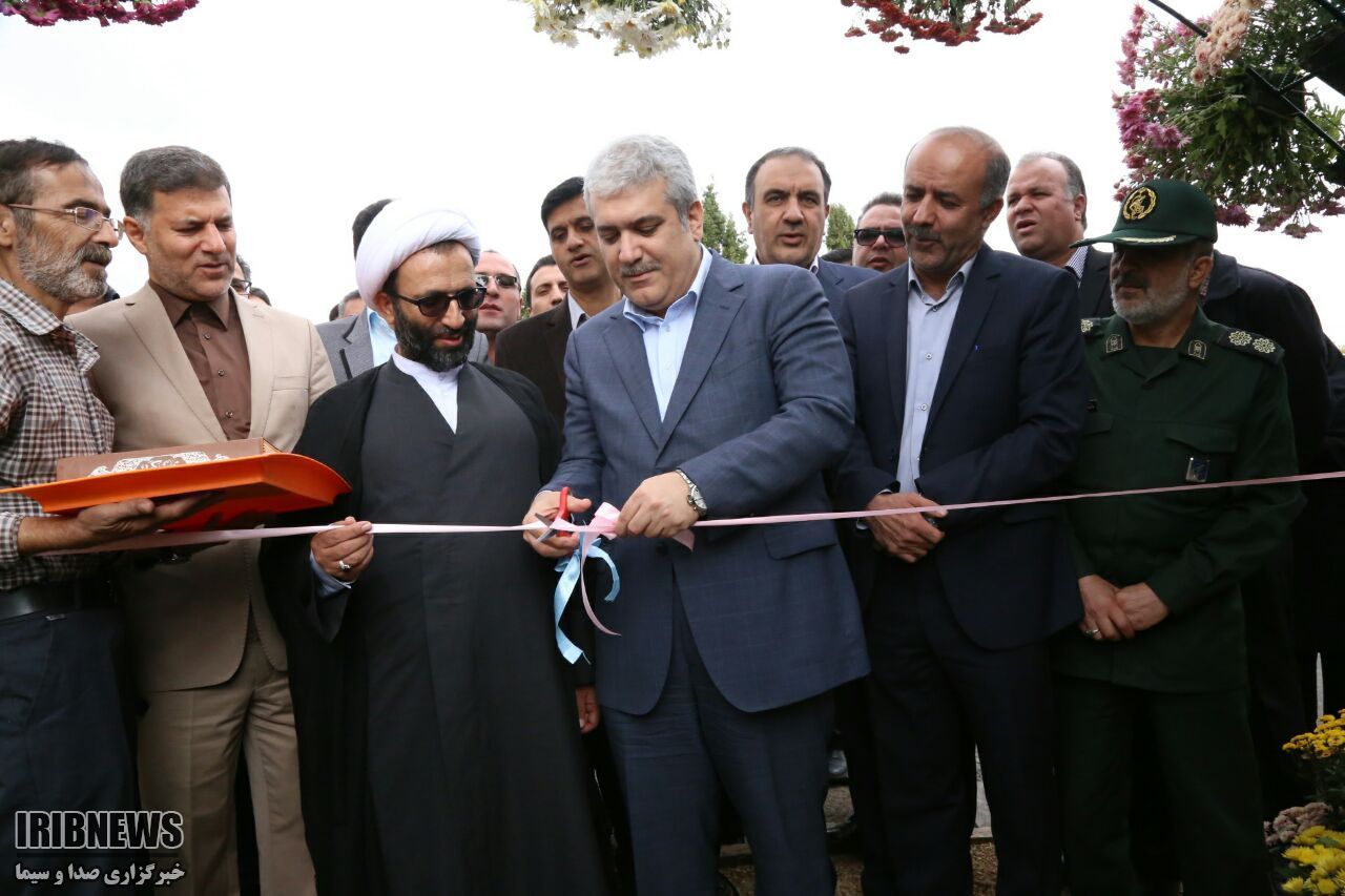 گشایش نمایشگاه گل های داوودی در محلات