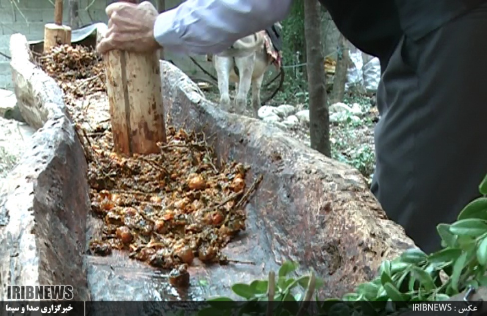 اربا دوشاب گیلان، عصاره ای از دل میوه گس جنگلی