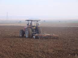 خریداری بذر فقط از مراکز مجاز در جنوب کرمان