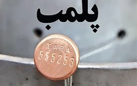 ۵ مرکز عرضه مرغ در همدان پلمب شد.