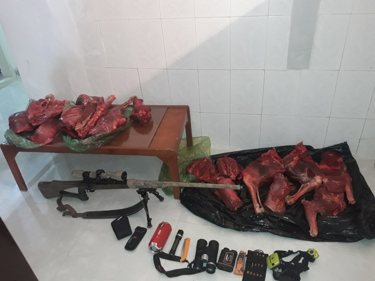 کشف لاشه دو راس قوچ و میش وحشی در کلات