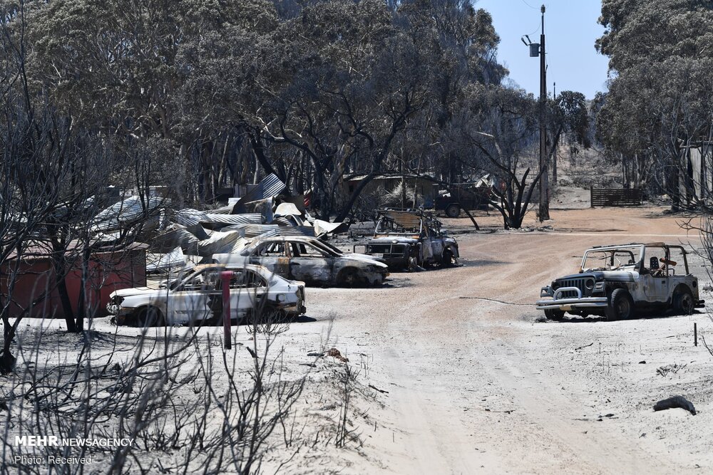 تصاویری دردآور از سوختن جزیره کانگوروها‎!