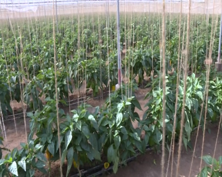 اینجا هند ایران است