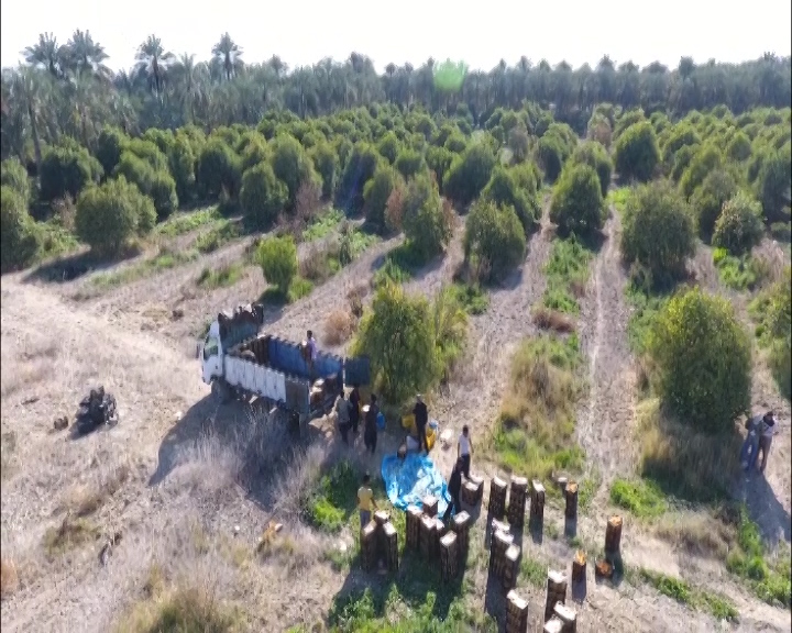 اینجا هند ایران است