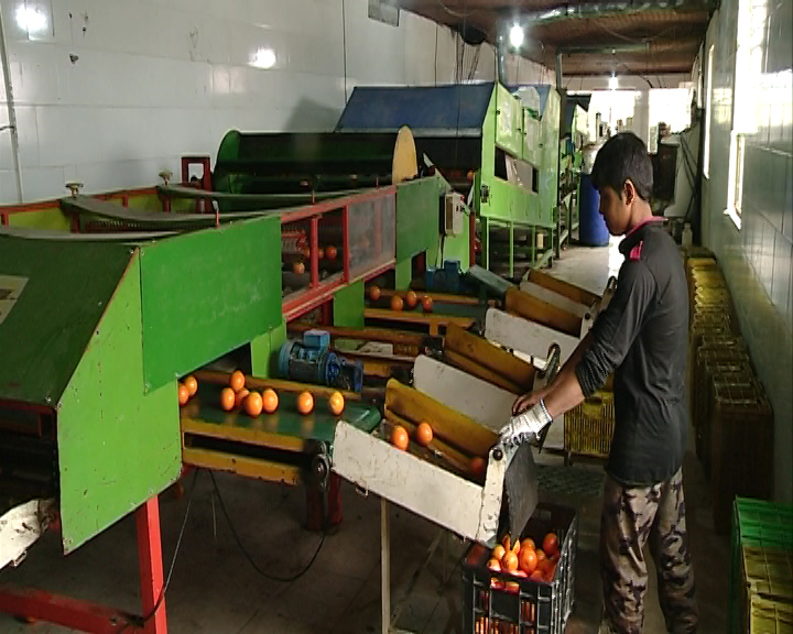 اینجا هند ایران است