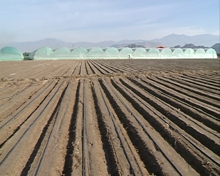 اینجا هند ایران است