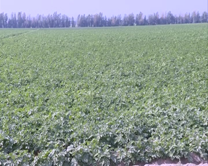 اینجا هند ایران است