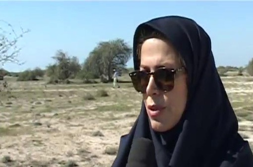 ساخت جاده در پناهگاه آهوان کیش با رعایت اصول زیست محیطی