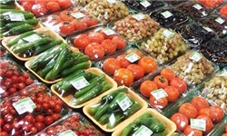 پرتو دهی شاهراه توسعه صادرات محصولات کشاورزی ایران