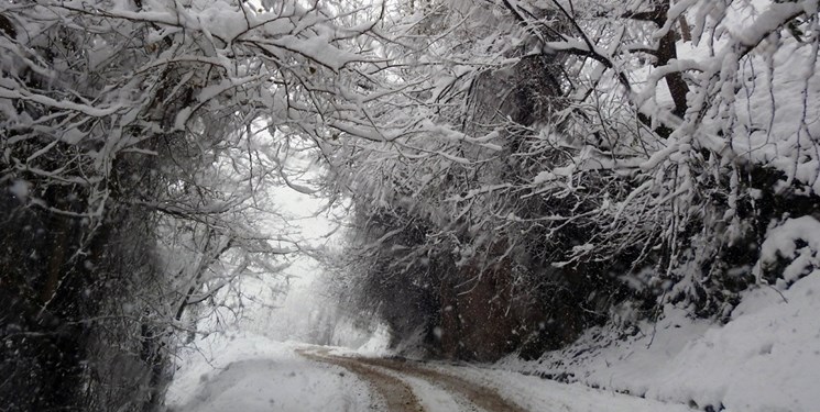 باران در جلگه و برف در مناطق کوهستانی