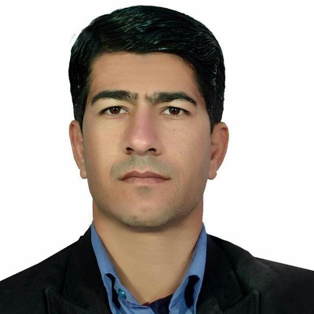 با یک گُل هم بهار می‌شود