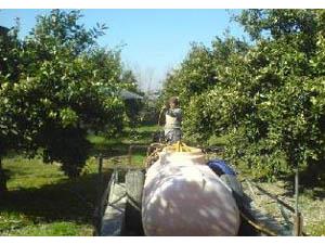 مبارزه زمستانه مركبات از هفته اول اسفند