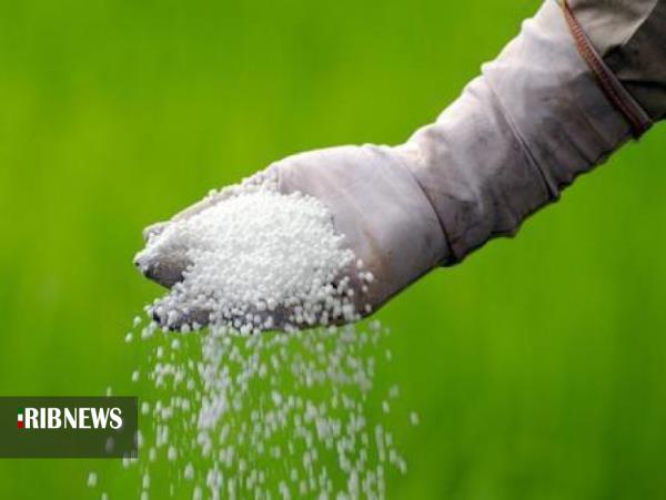 آمادگی شالیکاران گیلان برای کشت بذر امید در روزهای کرونایی آمادگی شالیکاران گیلان برای کشت بذر امید در روزهای کرونایی