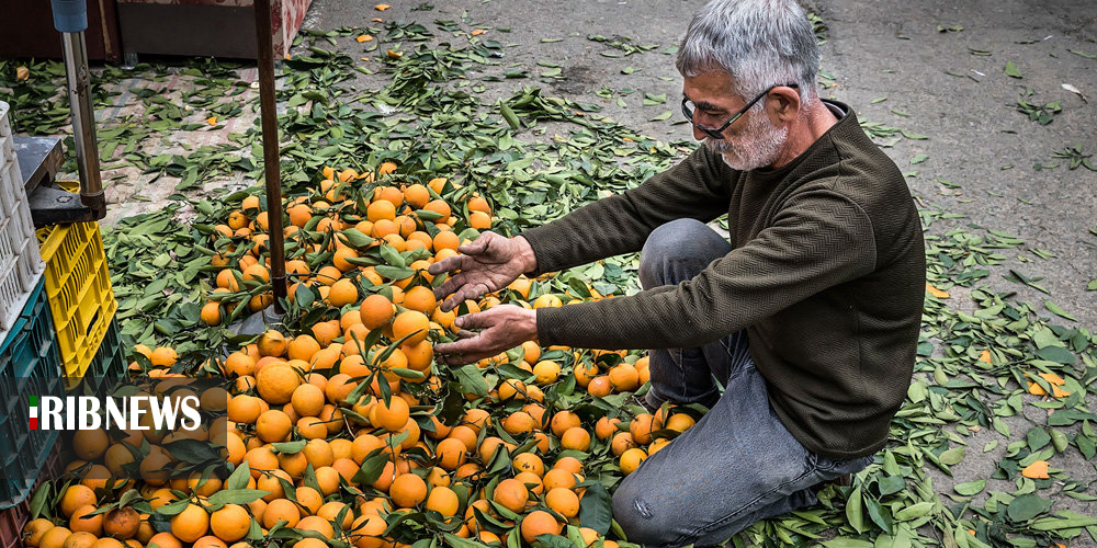 آمادگی شالیکاران گیلان برای کشت بذر امید در روزهای کرونایی آمادگی شالیکاران گیلان برای کشت بذر امید در روزهای کرونایی