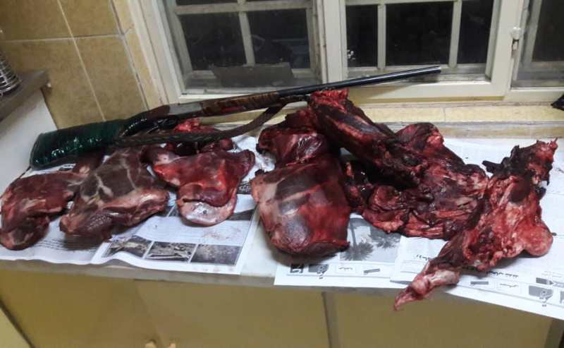 شکارچیان سابقه دار غیر مجاز بم در کمند قانون شکارچیان سابقه دار غیر مجاز بم در کمند قانون