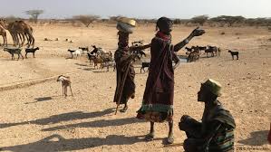 11 میلیون نفر در شاخ آفریقا سوء تغذیه دارند 11 میلیون نفر در شاخ آفریقا سوء تغذیه دارند