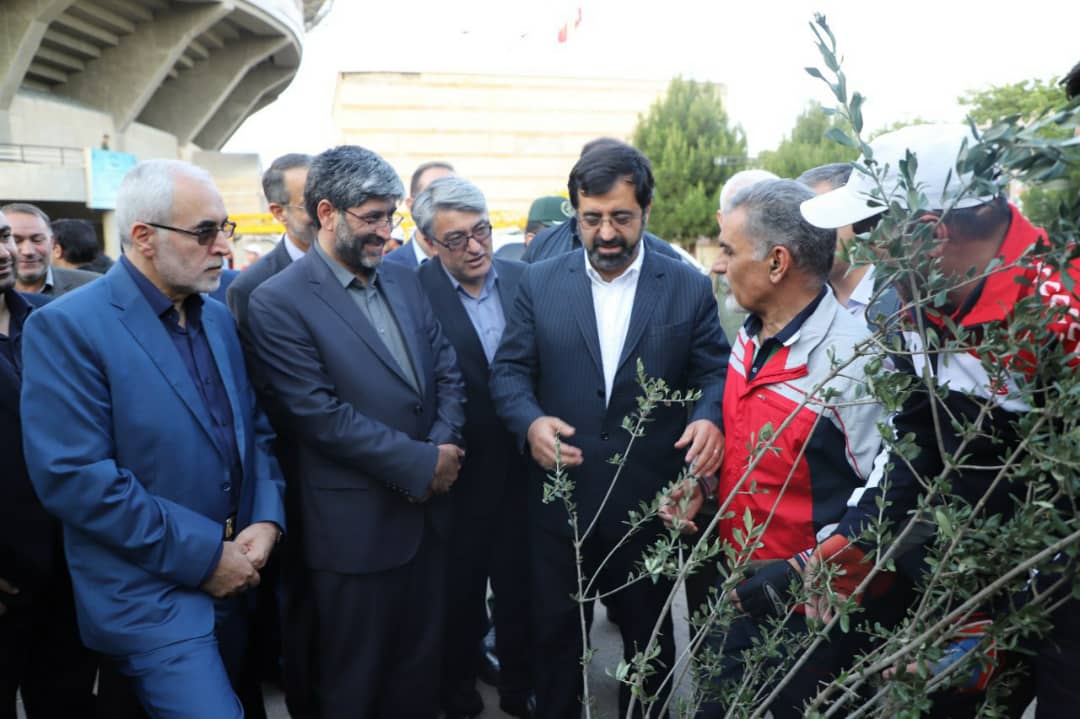 غرس نهال زیتون در استادیوم جهان پهلوان حسین رضازاده