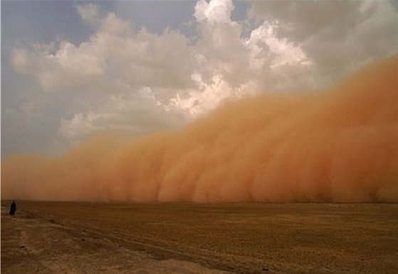 ابداع روشی نوین برای مهار ریزگردها در جهرم ابداع روشی نوین برای مهار ریزگردها در جهرم