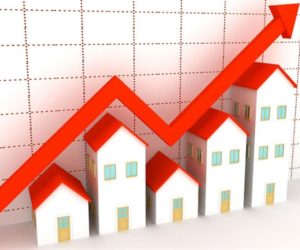 رشد ۱۷۴.۶ درصدی قیمت زمین در یکسال