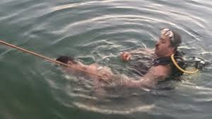 مرگی به راحتی آب خوردن مرگی به راحتی آب خوردن