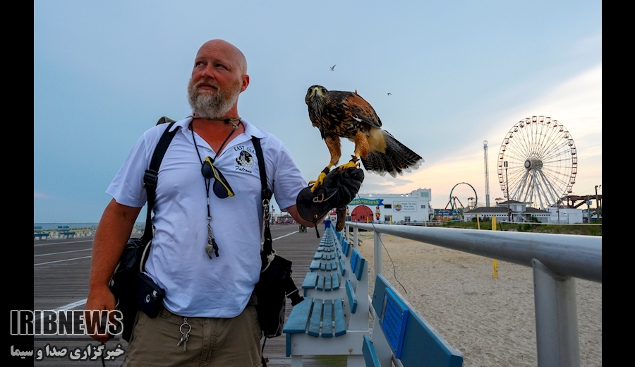 از سفر ترامپ به اجلاس G۷ تا تظاهرات در حمایت از مادورو