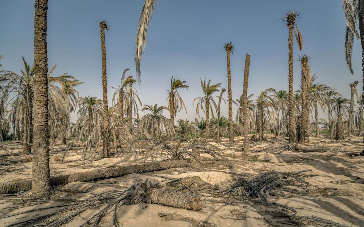 برداشت های بی رویه و کاهش شدید سطح آب های زیرزمینی