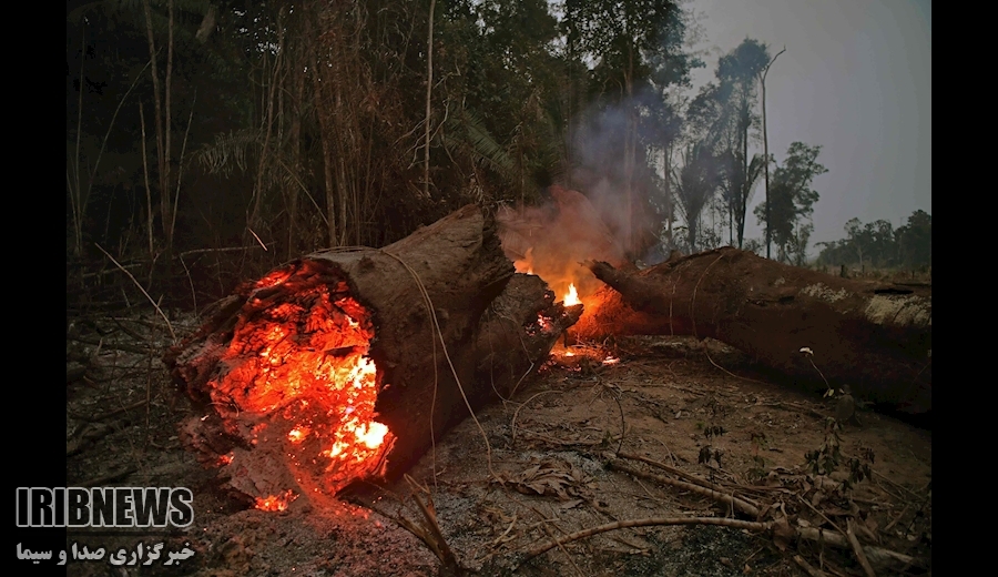 از تجمع مسلمانان روهینگیا در بنگلادش تا موج سواری در استرالیا