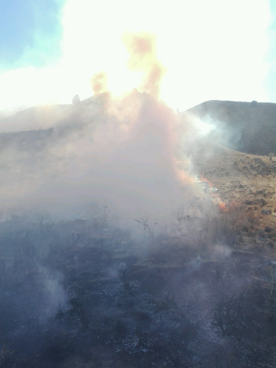 مهار آتش سوزی مراتع در شهرستان فریمان