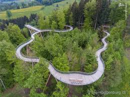 گونه های گیاهی اروپا در خطر نابودی