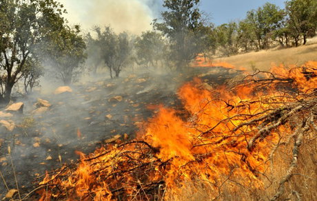 اختصاص 300 میلیارد ریال اعتبار برای اطفای حریق هوایی