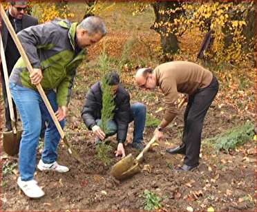 اختصاص 10 میلیارد ریال برای اجرای طرح نهضت سبز نهال‌کاری سبزوار